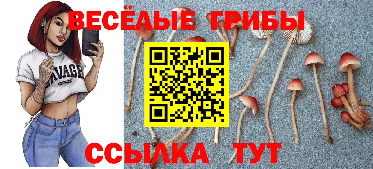 Галлюциногенные грибы Psilocybine cubensis Выкса