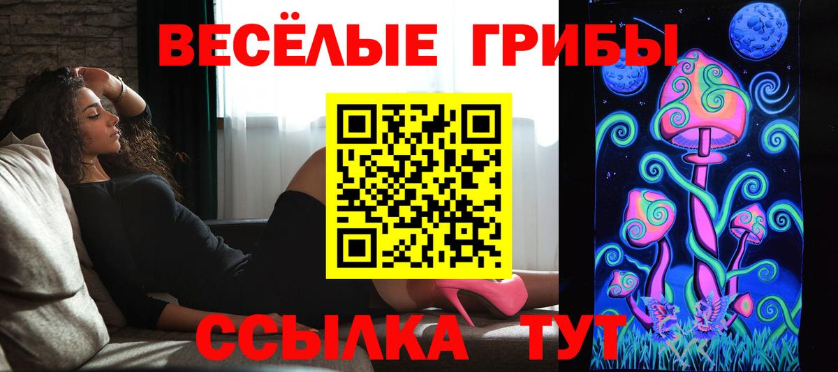 где найти   Псилоцибиновые грибы мицелий  Вход с VPN  Выкса 